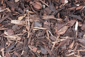 Pine Bark Mulch