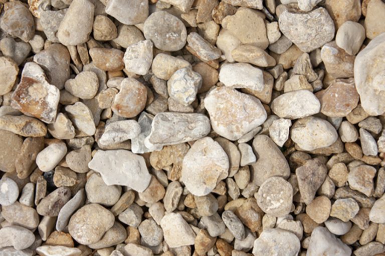 Cotswold Yellow Wiltshires